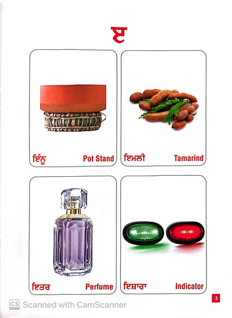 Gharelu Panjabi | ਘਰੇਲੂ ਪੰਜਾਬੀ