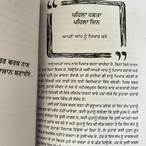 Mirror Work | ਮਿਰਰ ਵਰਕ